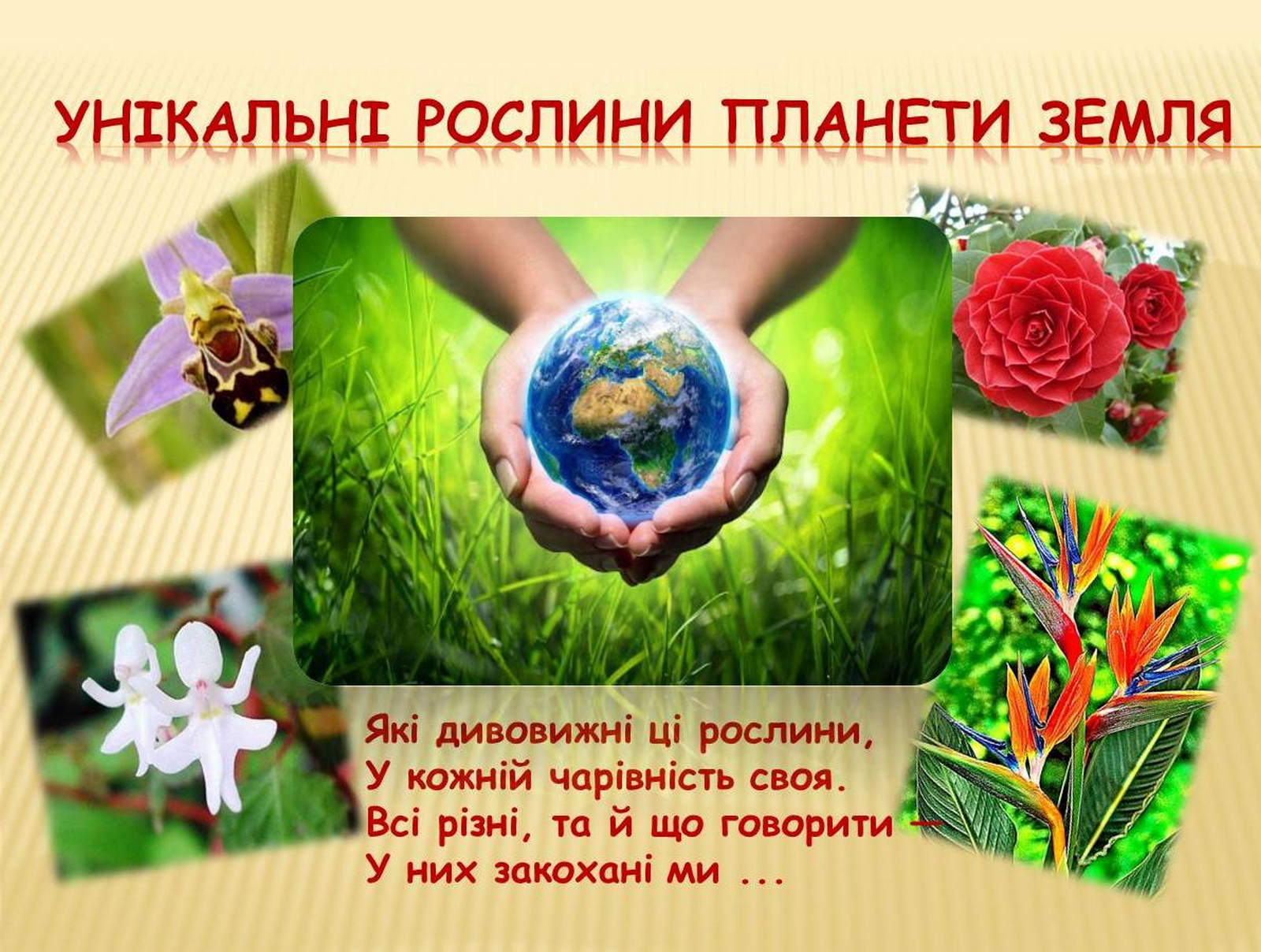 22 квітня - Міжнародний день Матері-Землі 