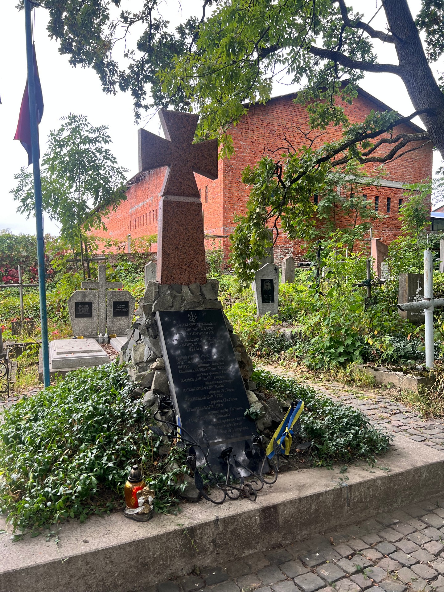 Ініціатива та активна участь старшої ради учнівського парламенту ліцею